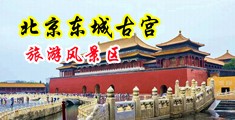 爆乳美女抠逼中国北京-东城古宫旅游风景区